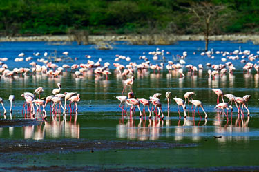 Bundala National Park